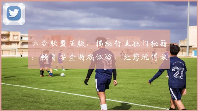 六合联盟正版，揭秘行业独门秘籍，畅享安全游戏体验，让您玩得放心，赢得更爽